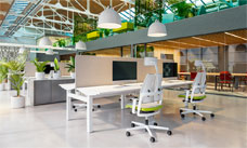 Xilium HRUA Duo Back